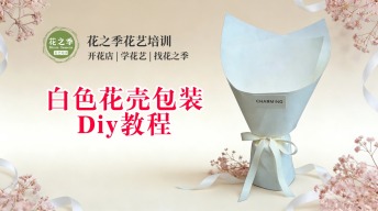 【新手必看】白色花壳包装Diy教程