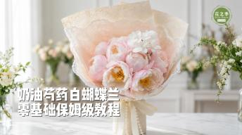 【必学】零基础保姆级|奶油芍药白蝴蝶兰教程