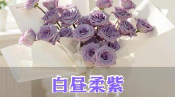白昼柔紫|高级白色花壳教程