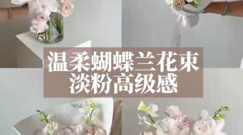 花店爆款温柔蝴蝶兰花束｜淡粉高级感