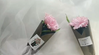 1分钟学会康乃馨包装