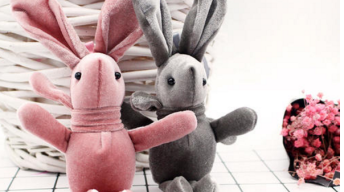 小兔子迷你花束