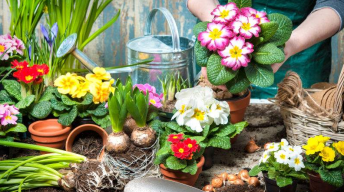 传统花店与花艺工作室的区别