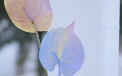 ins火爆的鲜花喷漆处理