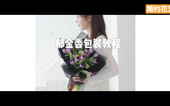 优雅郁金香包装教程