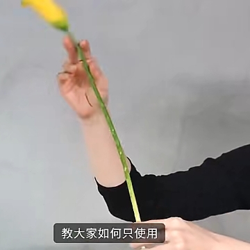 花艺技巧