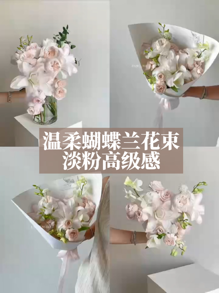 花店爆款温柔蝴蝶兰花束｜淡粉高级感